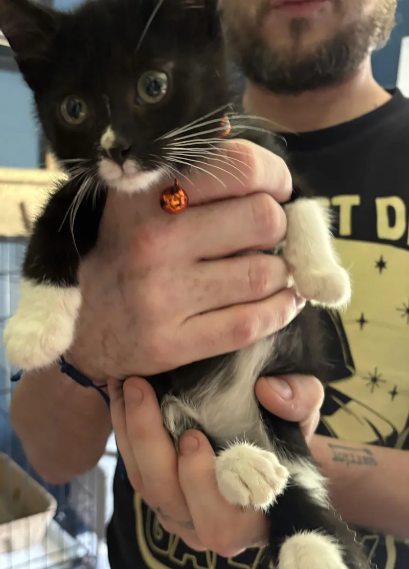 Lucky and Moose thumbnail 5