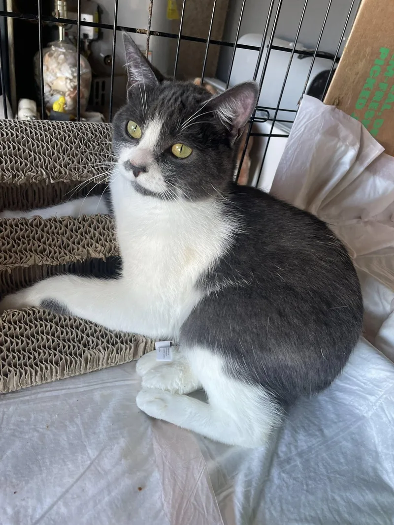 Zipper & Velcro thumbnail 2