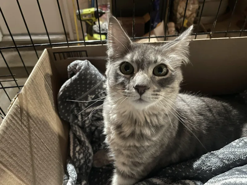 Zipper & Velcro thumbnail 3