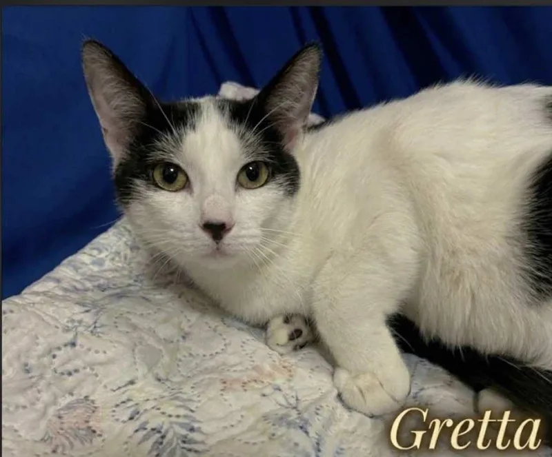 Gretta thumbnail 4