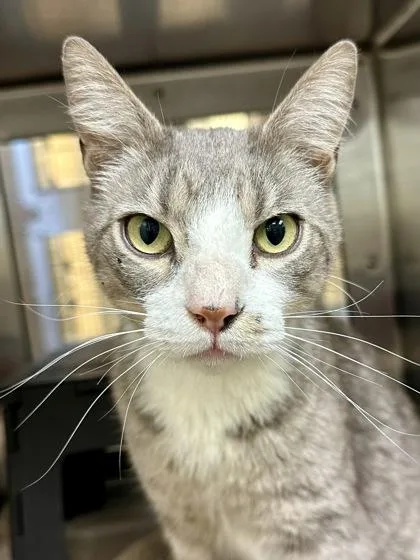 Sebastian