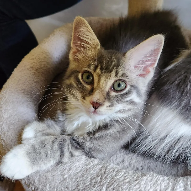 Mitzi thumbnail 2