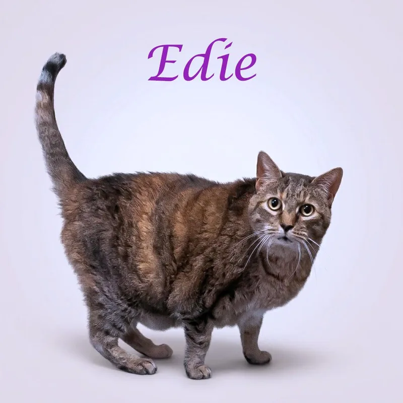 Edie C