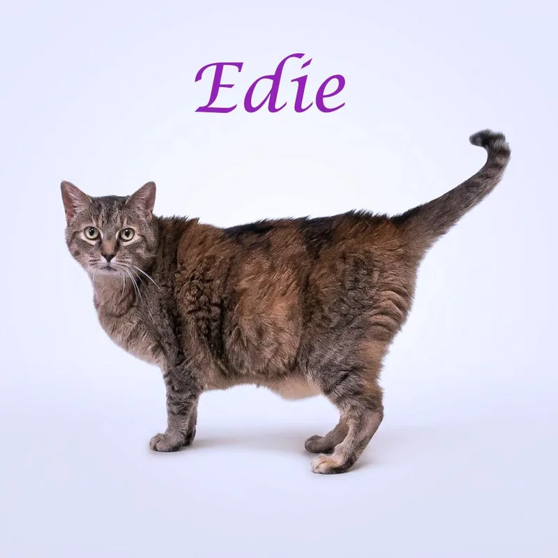 Edie C thumbnail 2