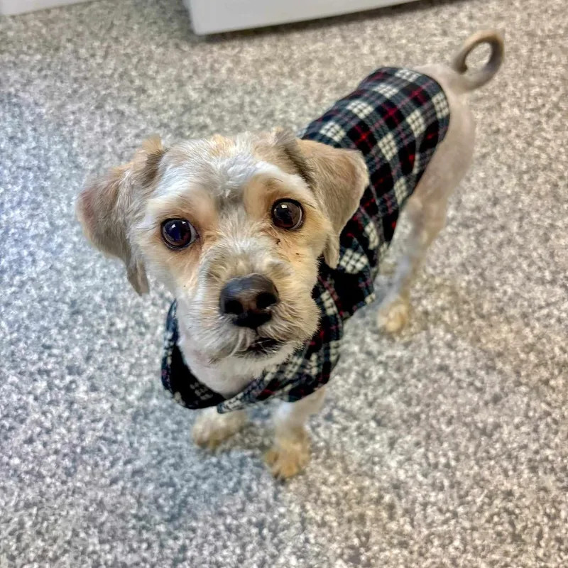 Bobby Mcgee thumbnail 2