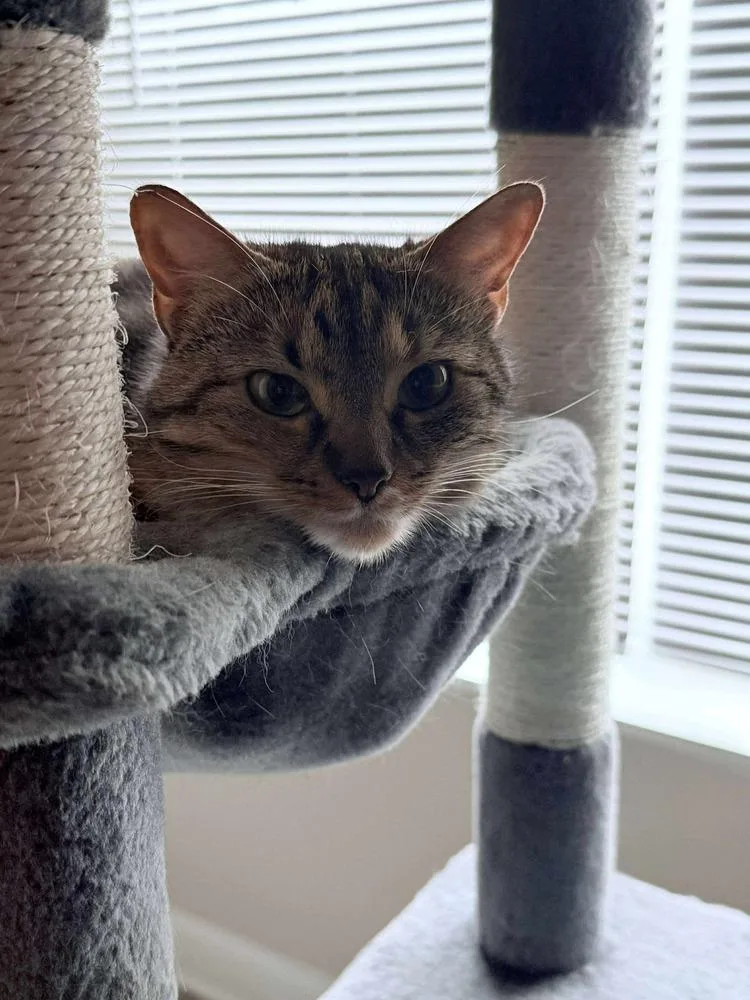 Izzy Rose thumbnail 2