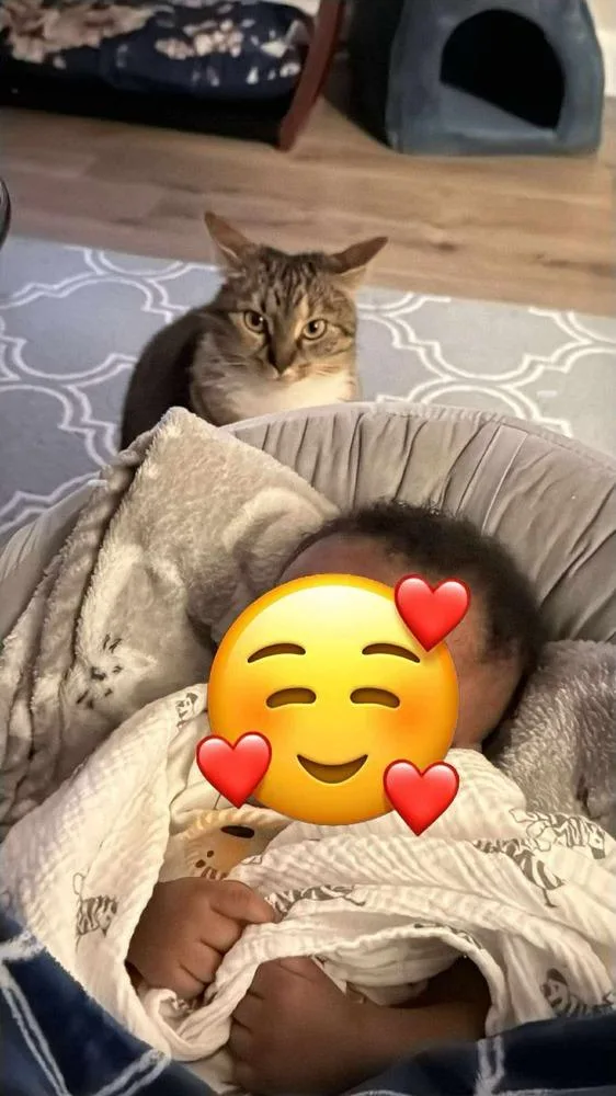 Izzy Rose thumbnail 3