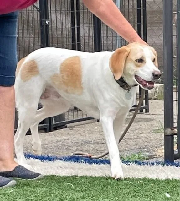 Princess thumbnail 2