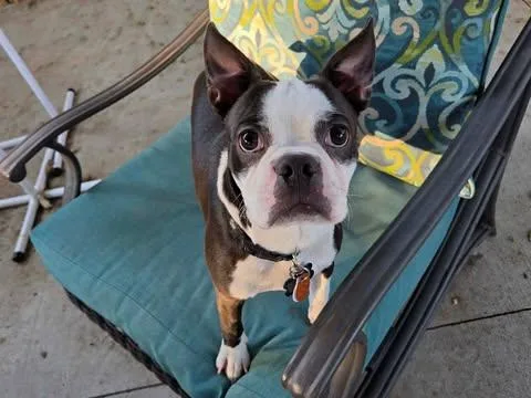 Murdock