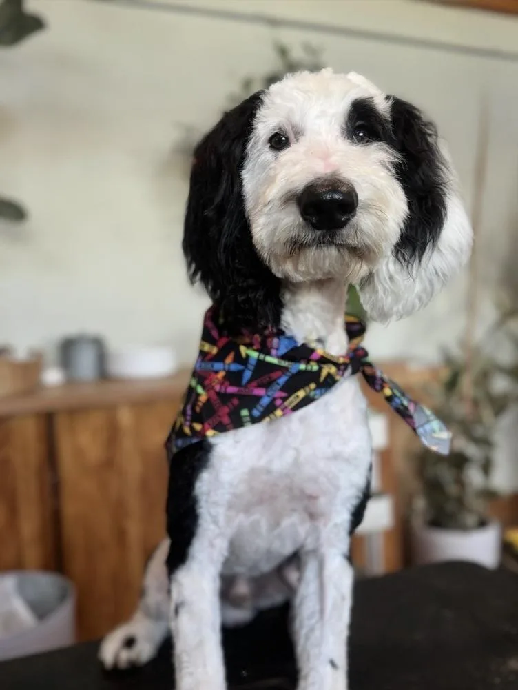 Snoopy thumbnail 2