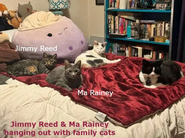 Ma Rainey thumbnail 3