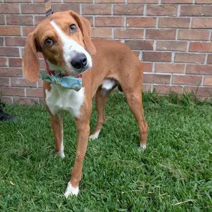 Walker Oake thumbnail 2