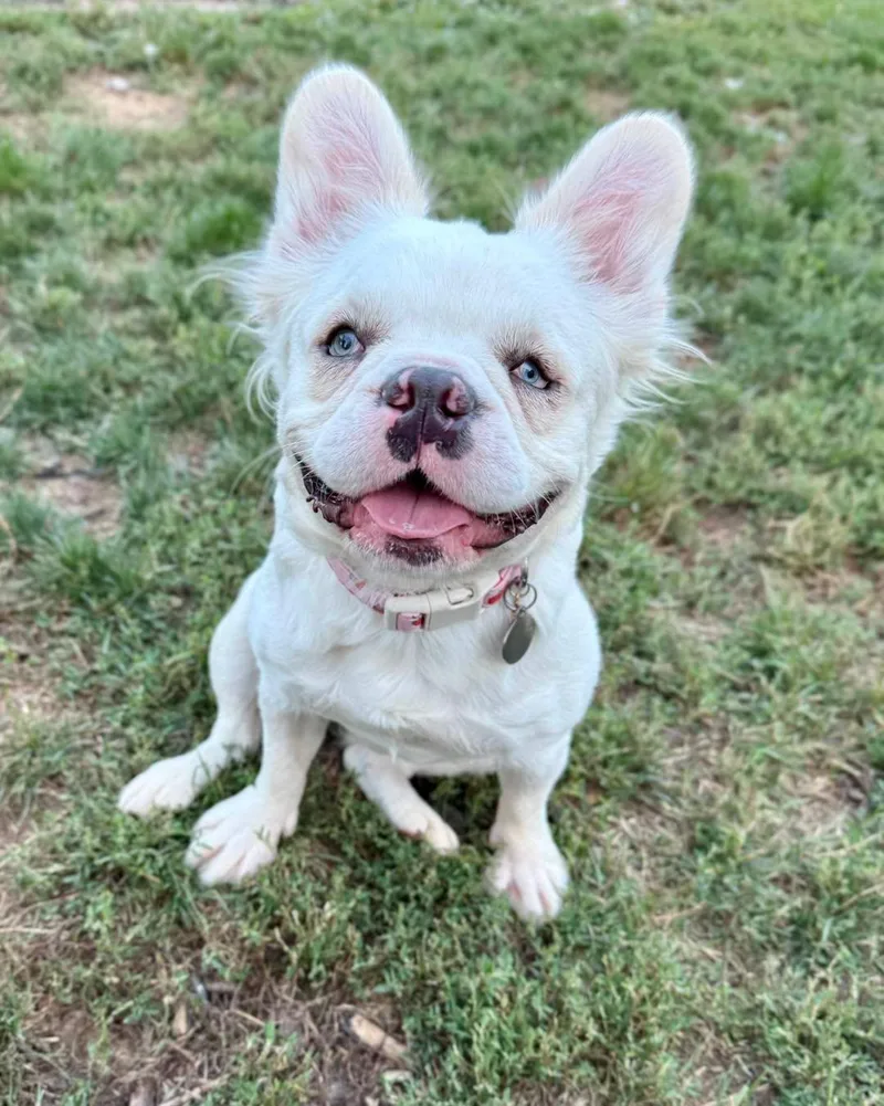 Bindi thumbnail 6