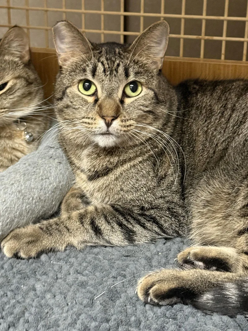 Benjamin thumbnail 2