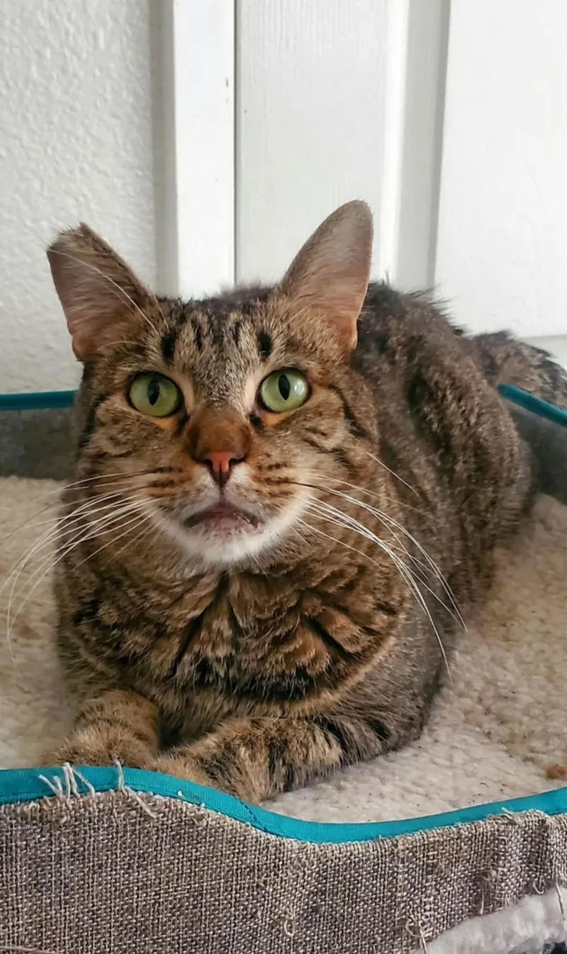 Benjamin thumbnail 3