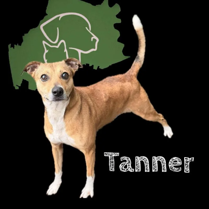 Tanner thumbnail 5