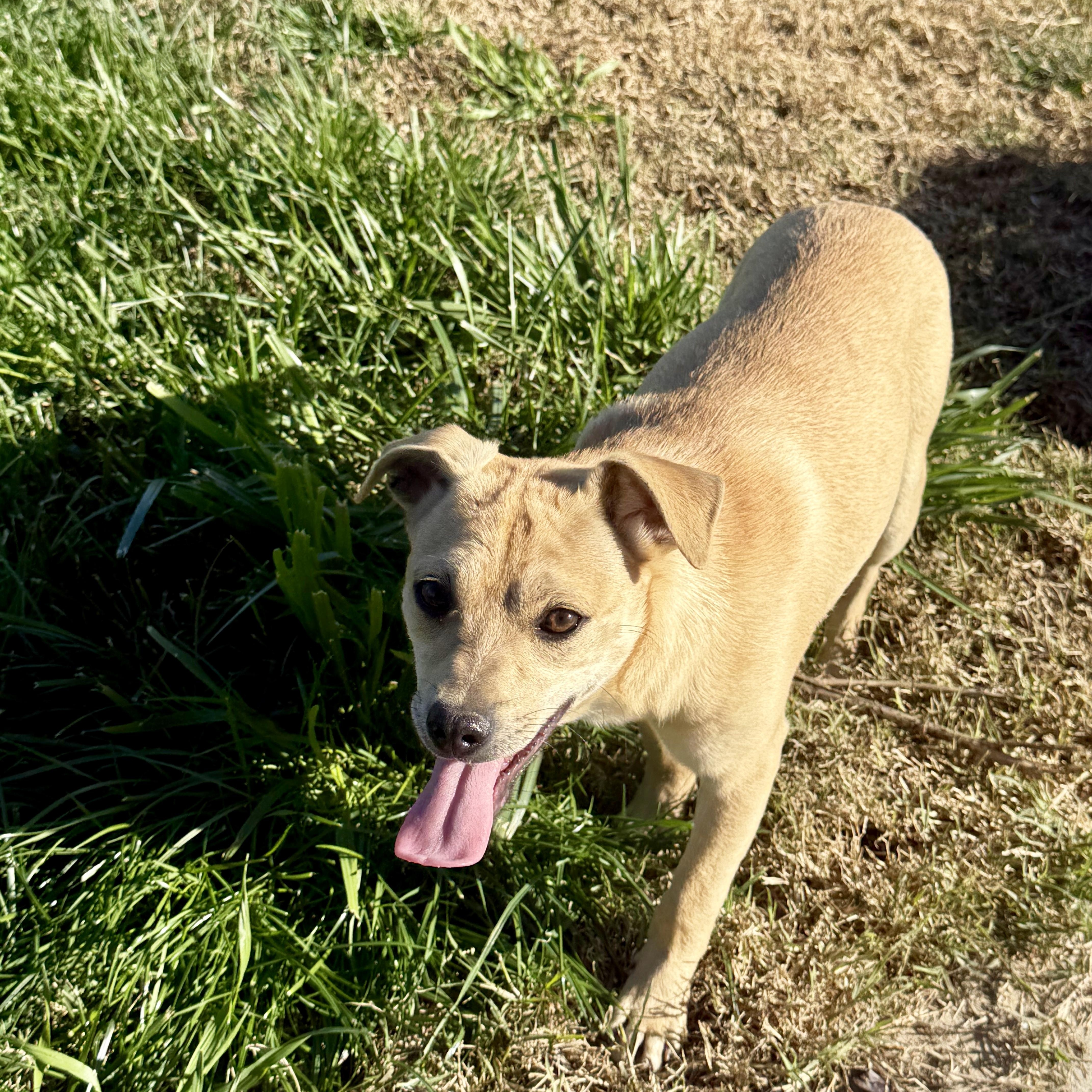 Scrunchy thumbnail 2