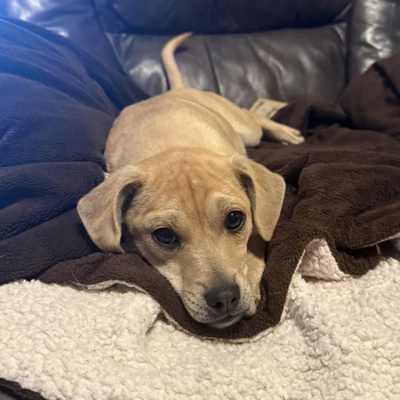 Scrunchy thumbnail 6