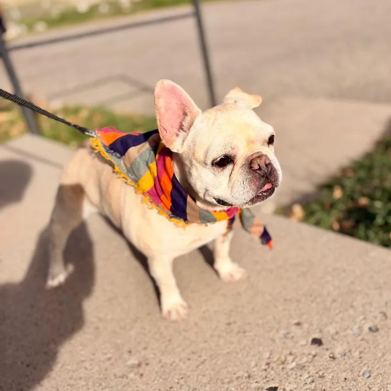 Marley Jane thumbnail 5