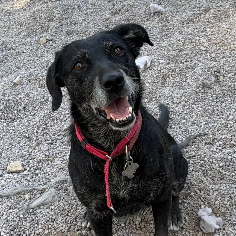 Nike thumbnail 3