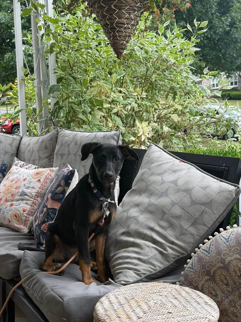 Sabrina