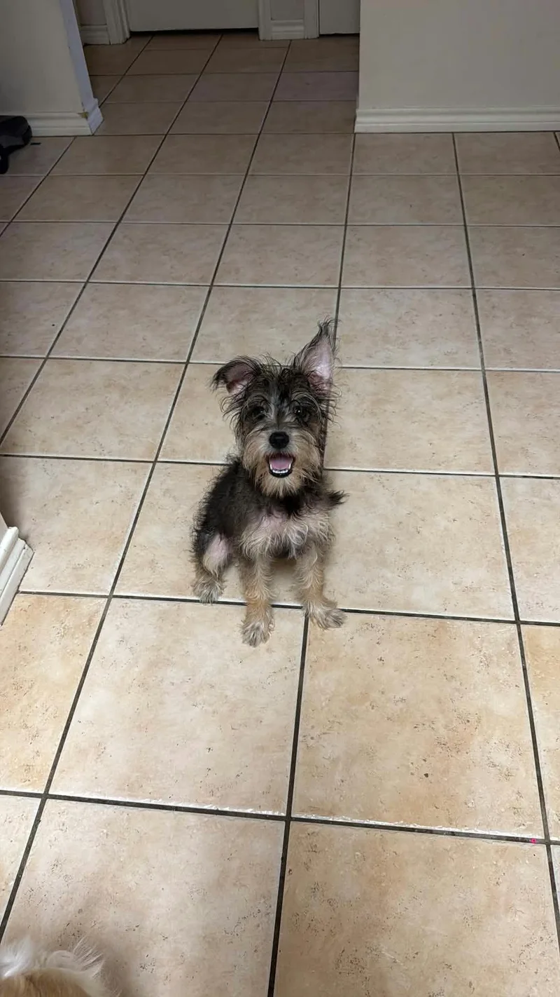 Lola thumbnail 6