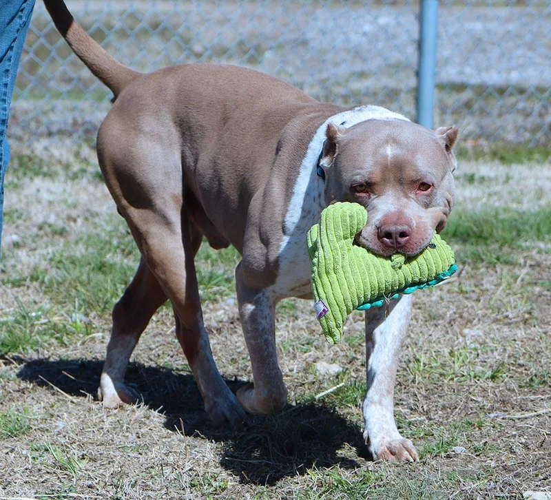 Hercules thumbnail 2