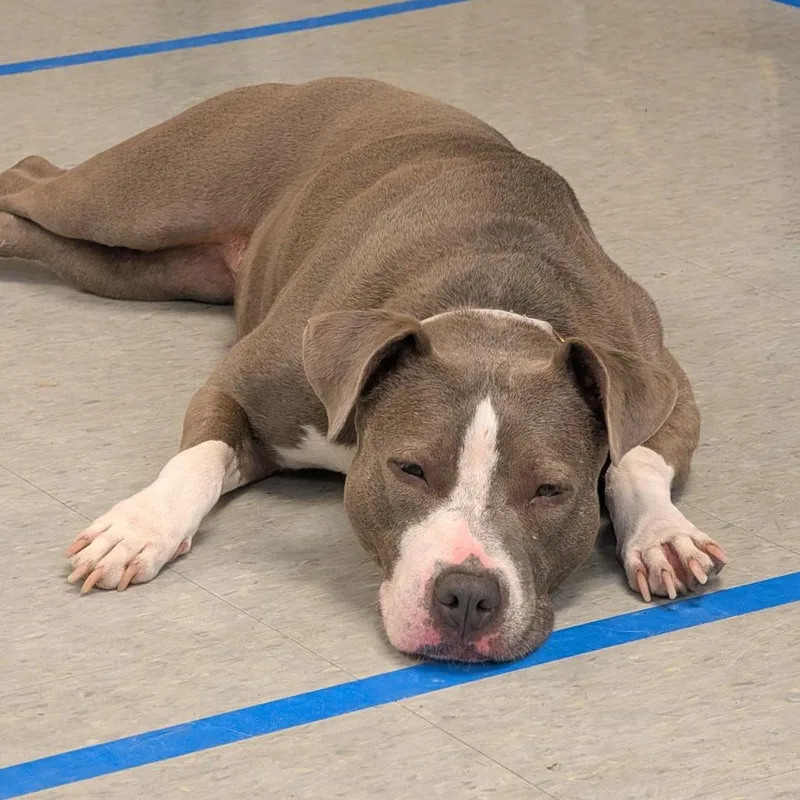 Zoey thumbnail 3