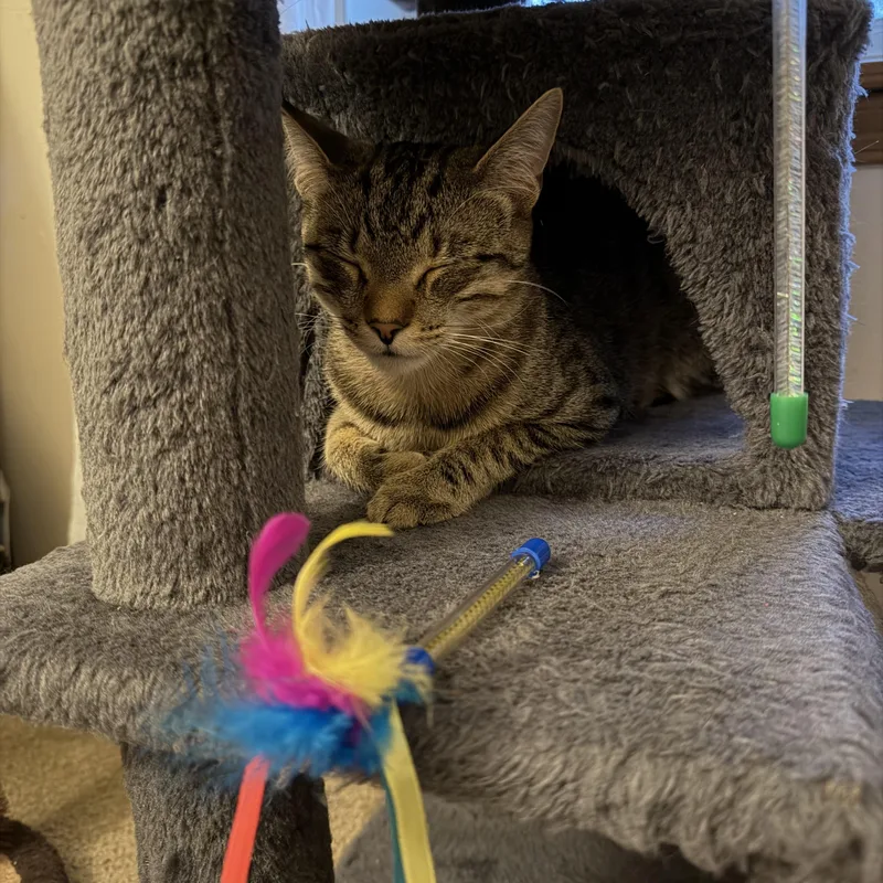 Iris And River thumbnail 3