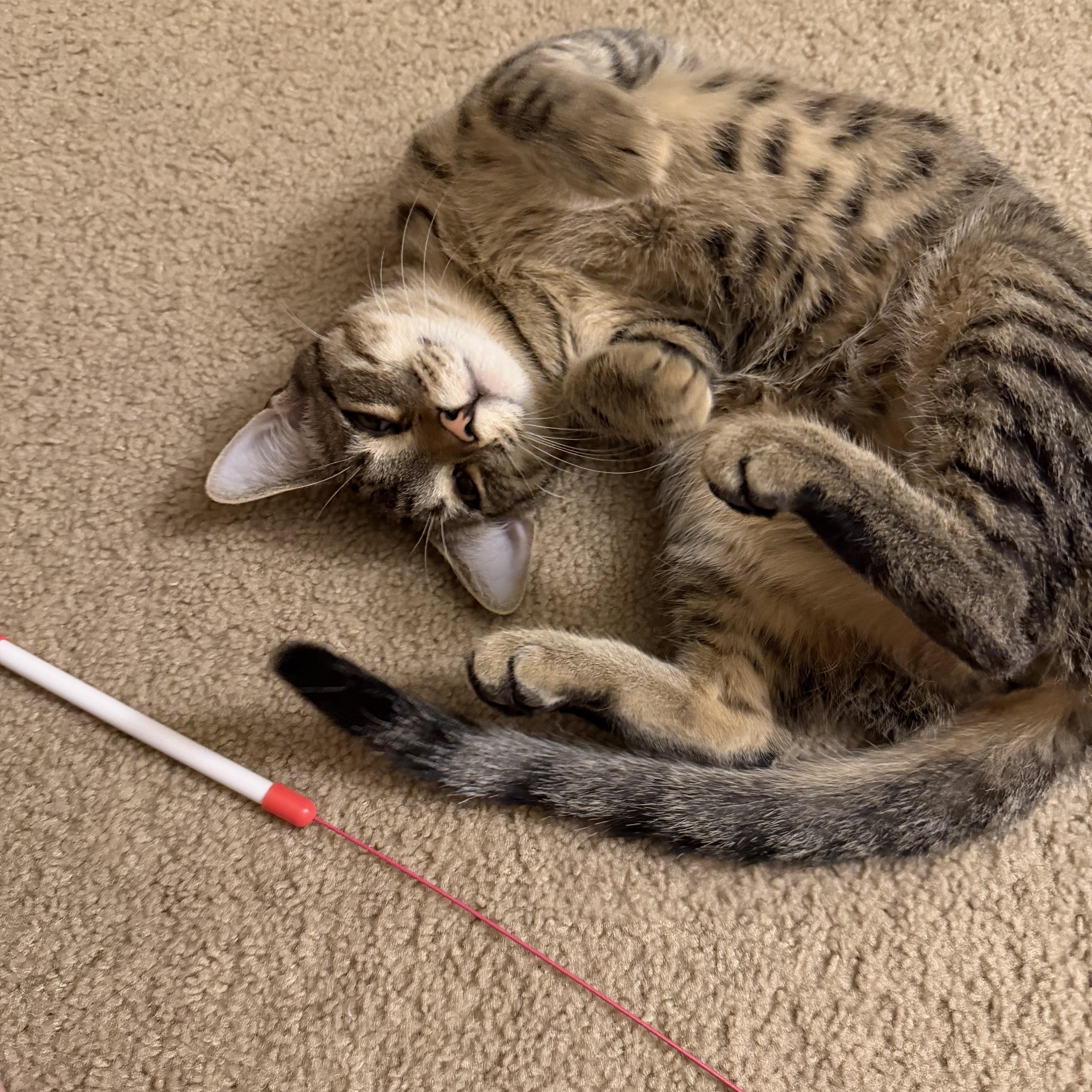 Iris And River thumbnail 4