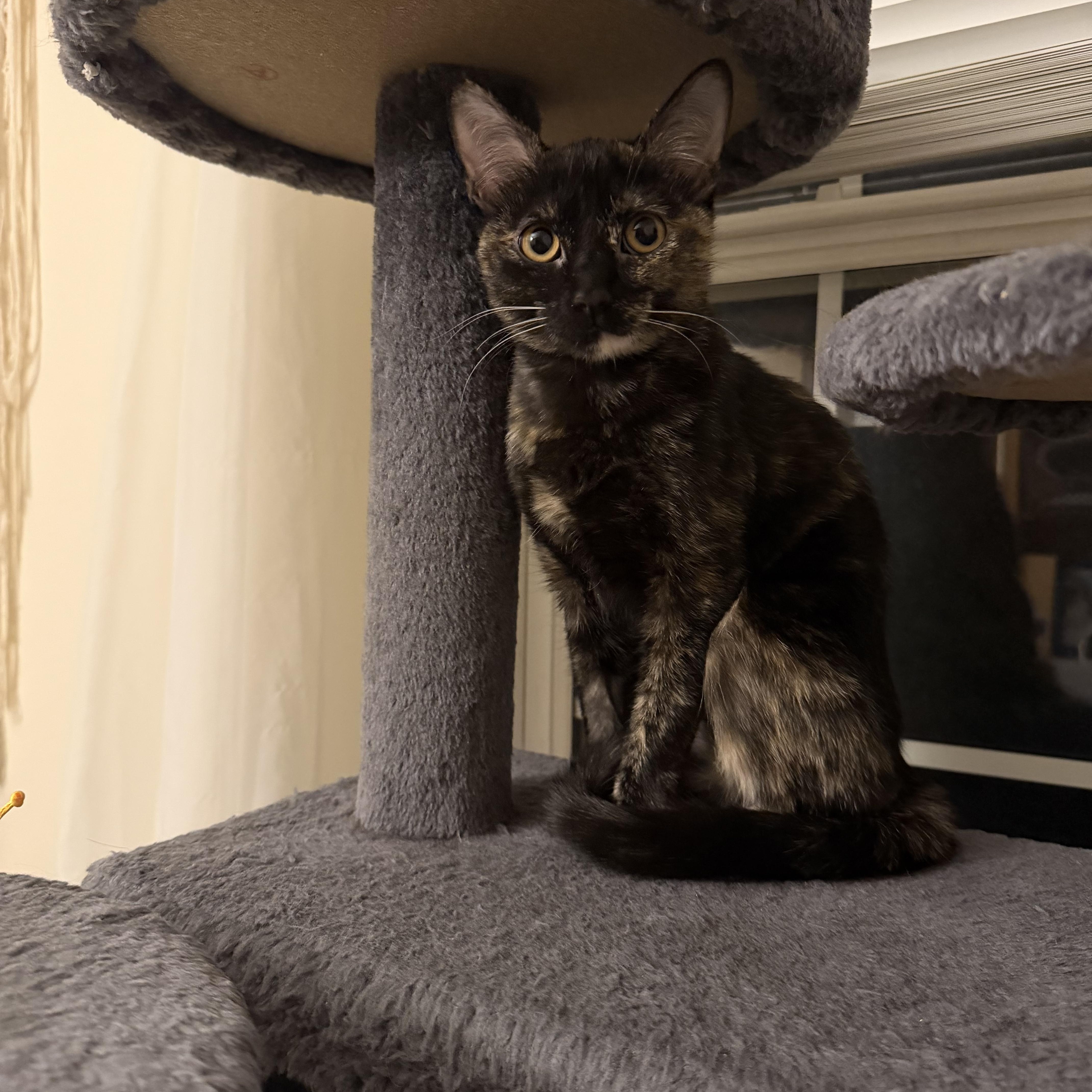 Iris And River thumbnail 5