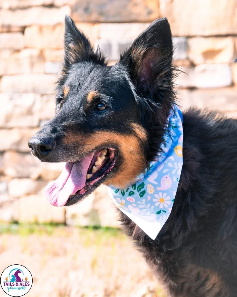 Precious thumbnail 2