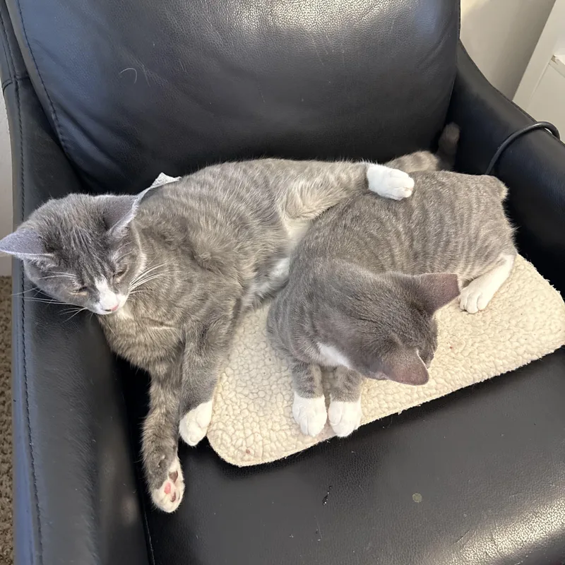 Barry And Marley