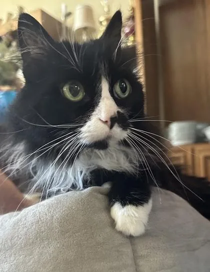 Ms. Ceaser thumbnail 2