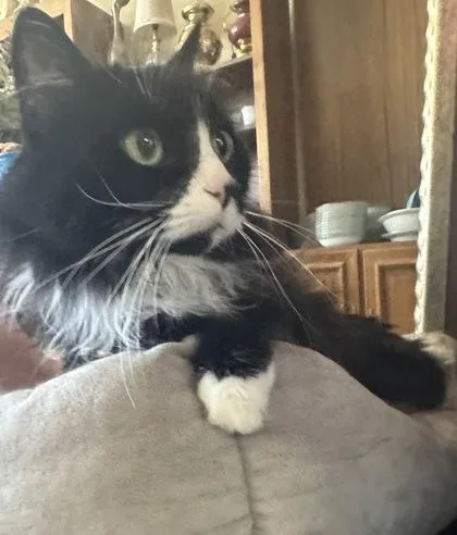 Ms. Ceaser thumbnail 3