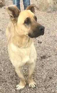 Shnuggles thumbnail 2