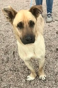 Shnuggles thumbnail 3