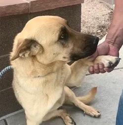 Shnuggles thumbnail 4