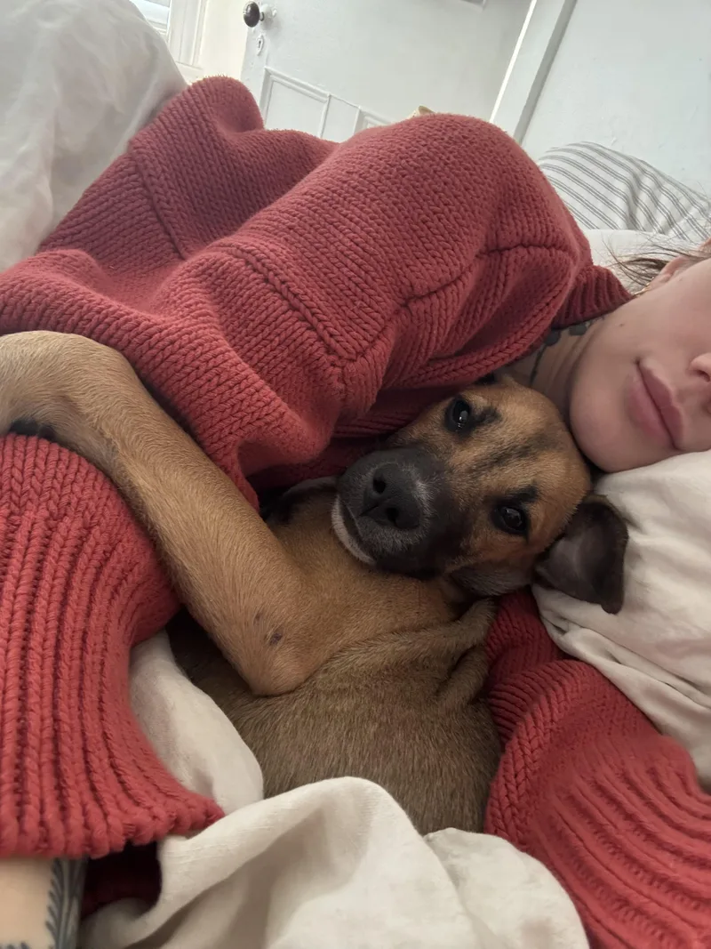 Lolo  The Cuddliest thumbnail 4