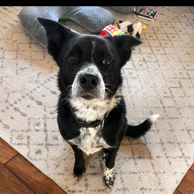Mac