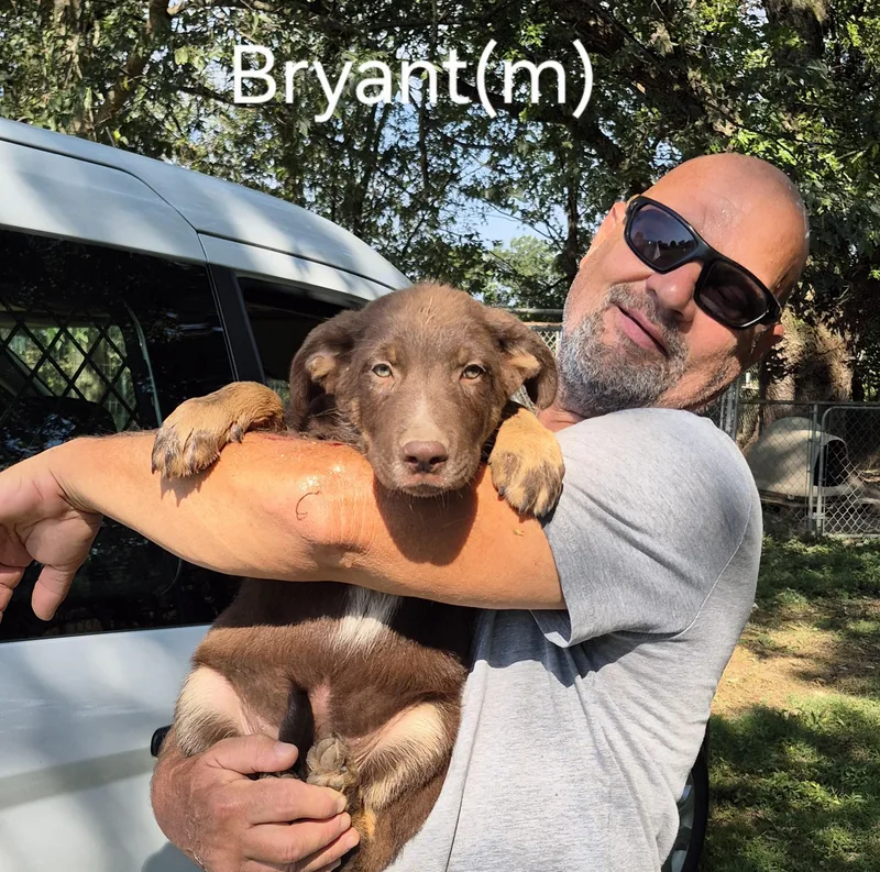 Bryant