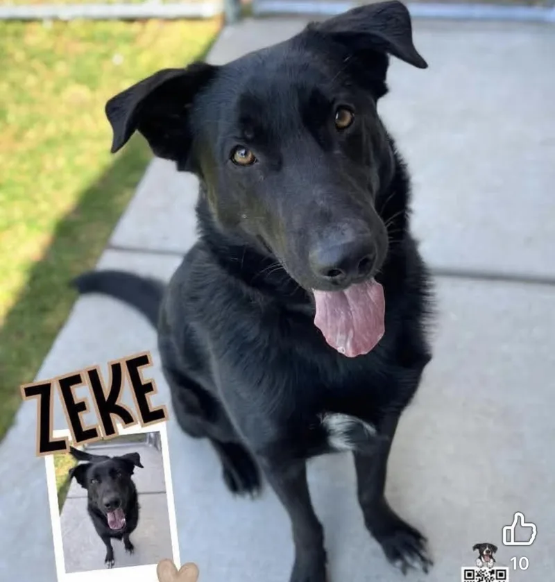 Zeke