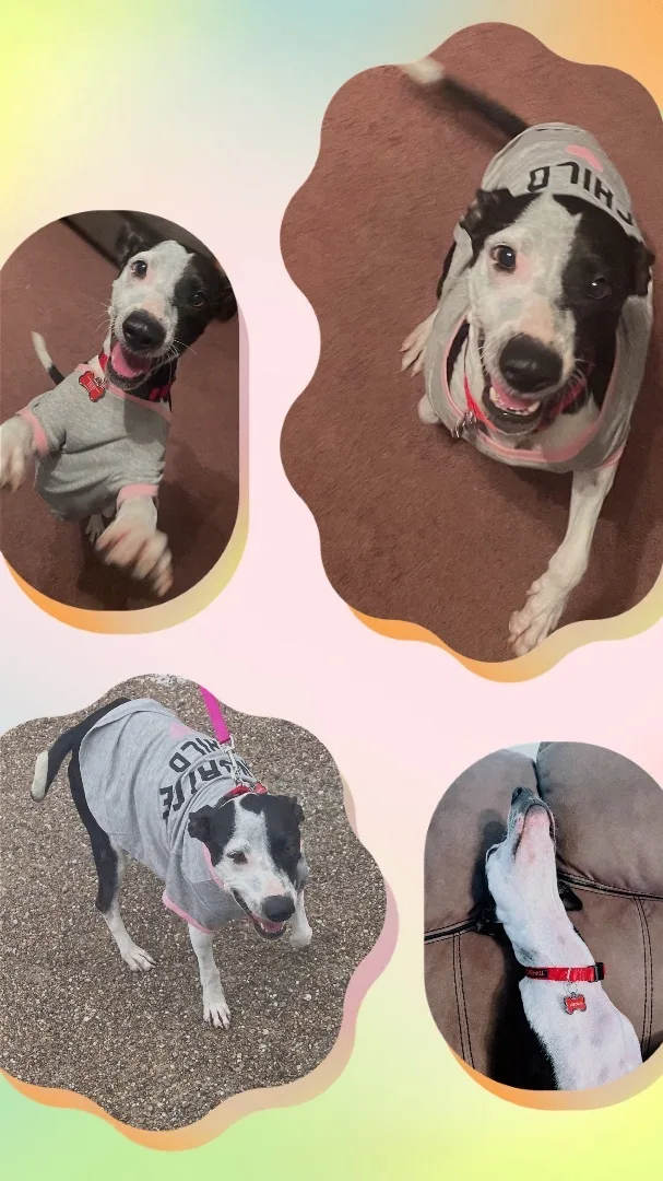 Precious thumbnail 2