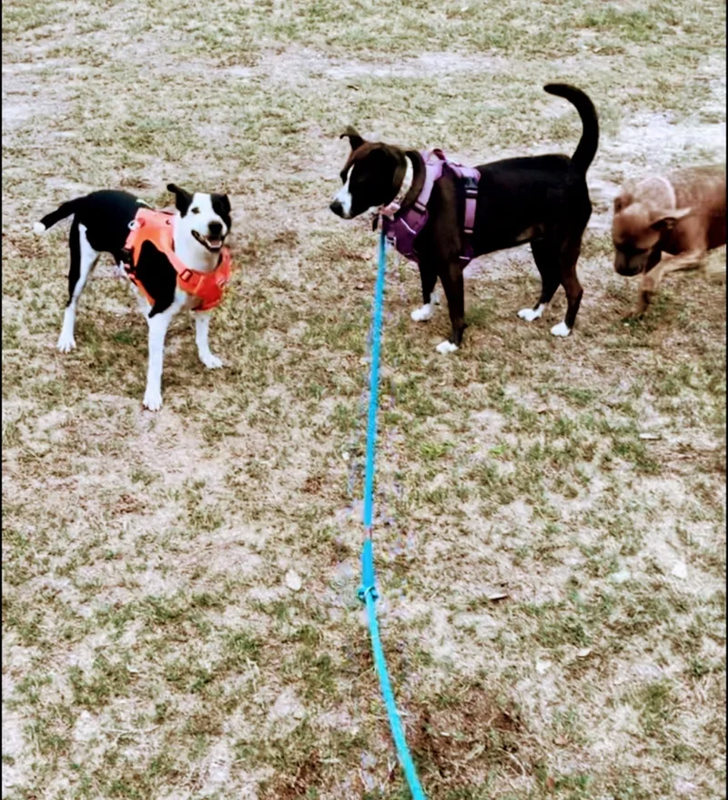 Precious thumbnail 3