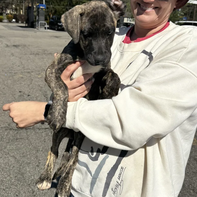 Ny Lilibet Avail Apr thumbnail 2