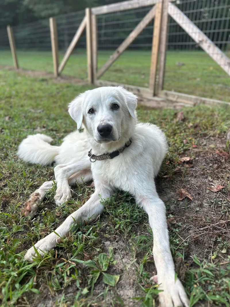 Winter  In New thumbnail 2