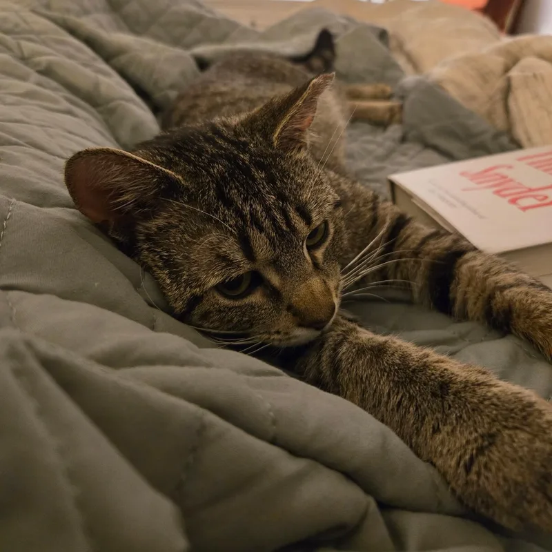 Cacio E Pepe thumbnail 6