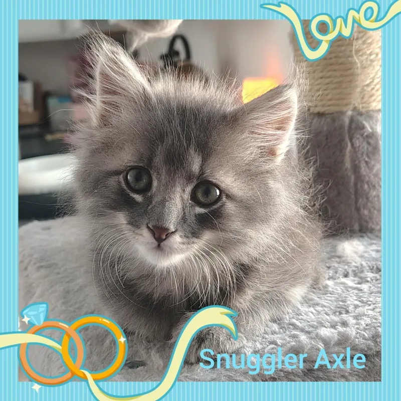 Axle thumbnail 2