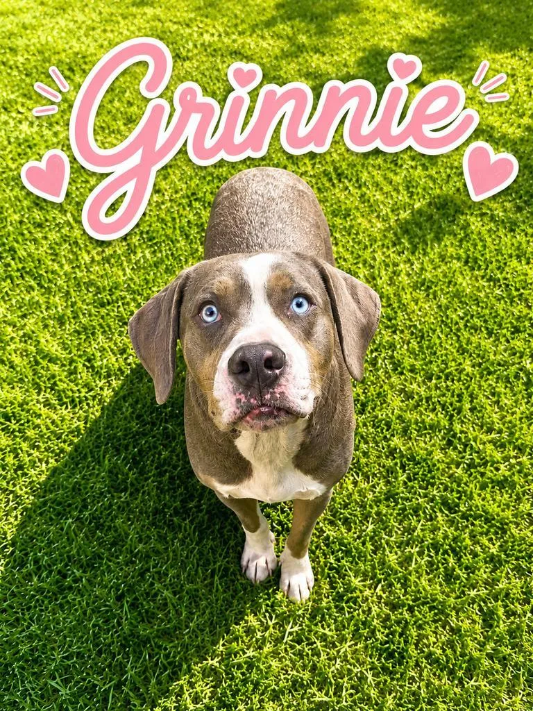 Grinnie thumbnail 2