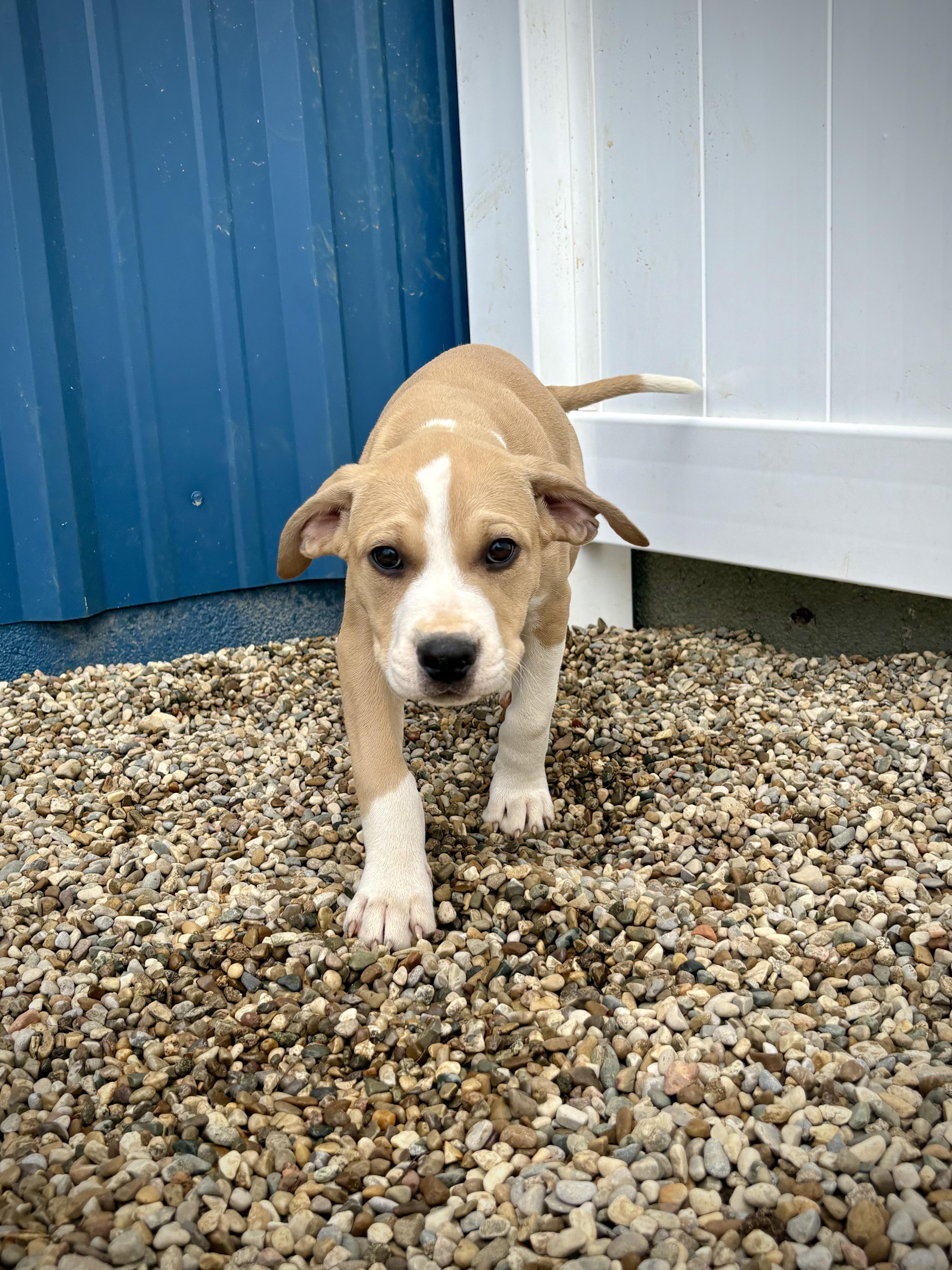 Woodward thumbnail 2